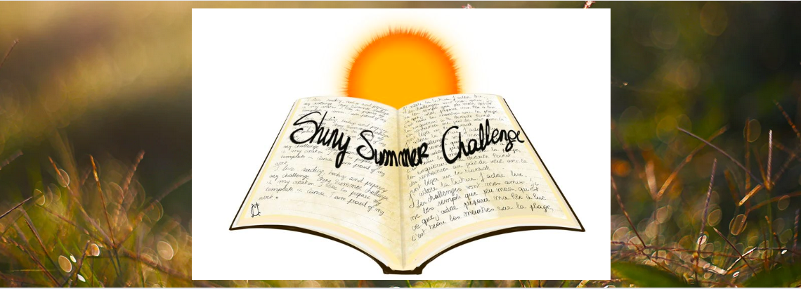 Challenge Shiny Summer 2023 – Le bilan